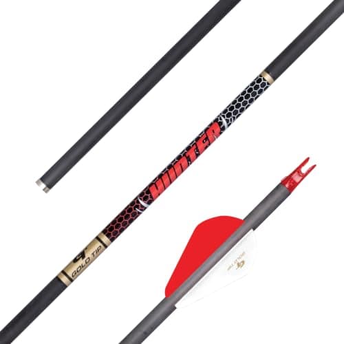Gold Tip Hunter with Raptor Vanes (400 spine, 6 pk)