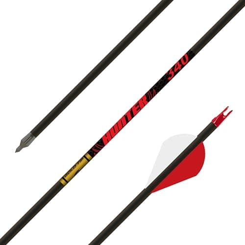Gold Tip Hunter with Raptor Vanes (340 spine, 6 pk)